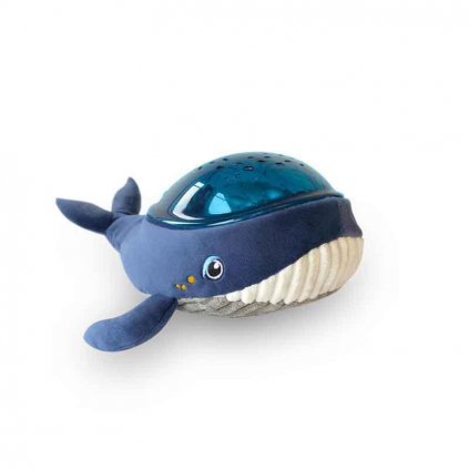 AAQ01 WHALE