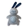 PSP01 RABBIT