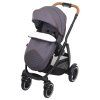 Graco Evo® XT 2020 iron