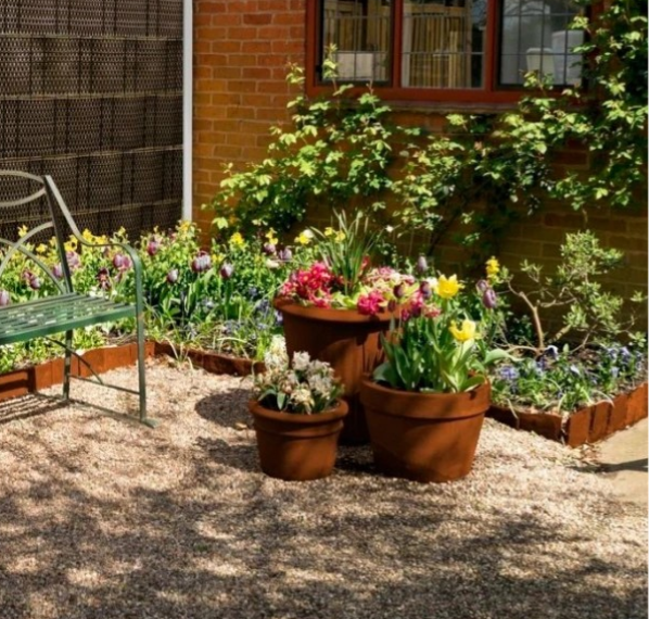 Obrázok, na ktorom je kvetináč, izbová rastlina, exteriér, zem

Obsah vygenerovaný pomocou AI môže byť nesprávny.