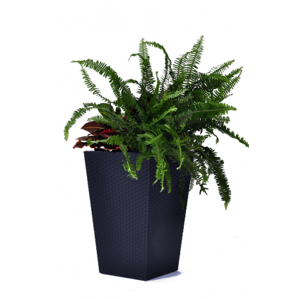 main 17192301 rattan style planter medium 7172 rgb