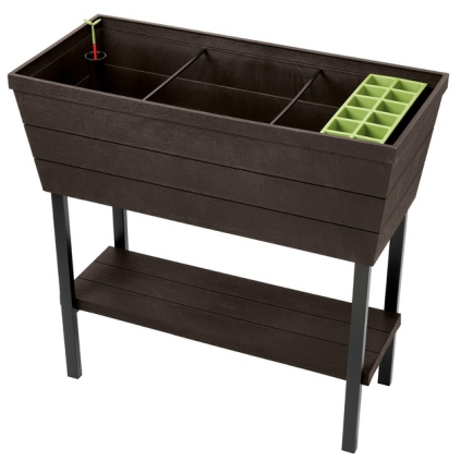 main 17202940 urban bloomer 7346 rgb