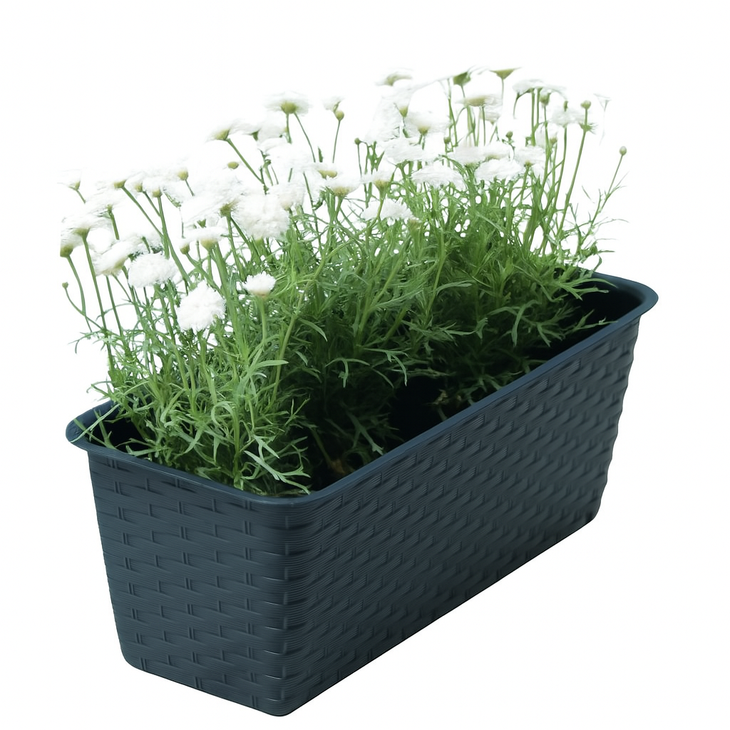 ProsperPlast Kvetináč RATOLLA CASE | antracit 39,1 cm