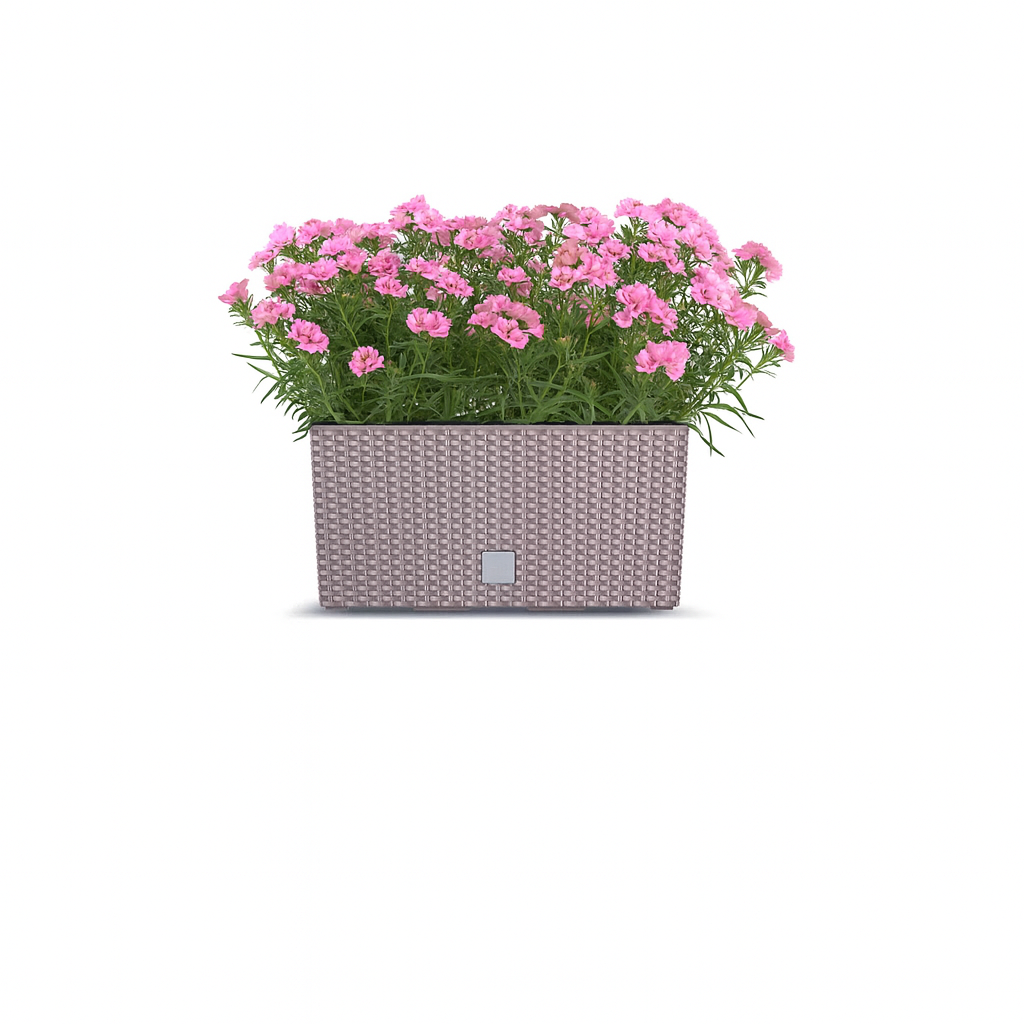 ProsperPlast Kvetináč RATO CASE s vkladom | mocca 39,5 cm