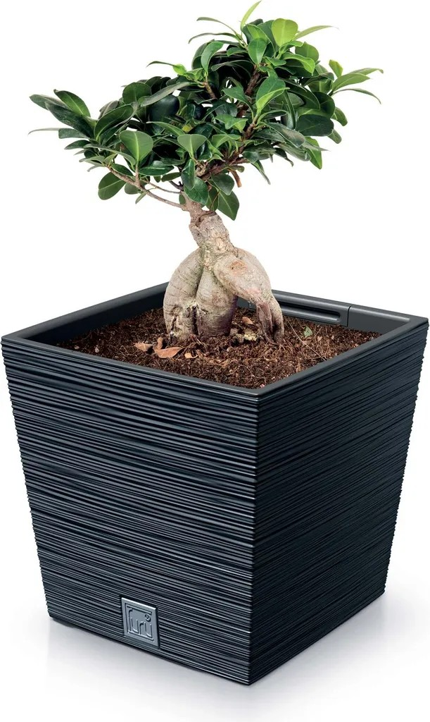 ProsperPlast Kvetináč FURU SQUARE LOW | antracit 24 cm