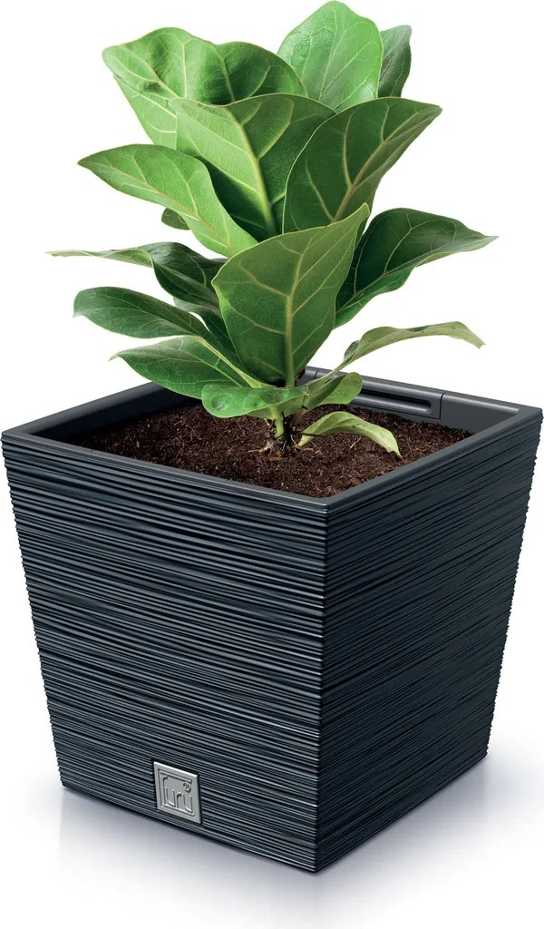 ProsperPlast Kvetináč FURU SQUARE LOW | antracit 30 cm