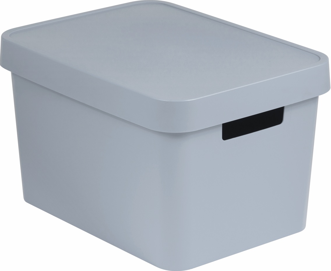 CURVER Úložný box INFINITY 17l s vekom | sivá