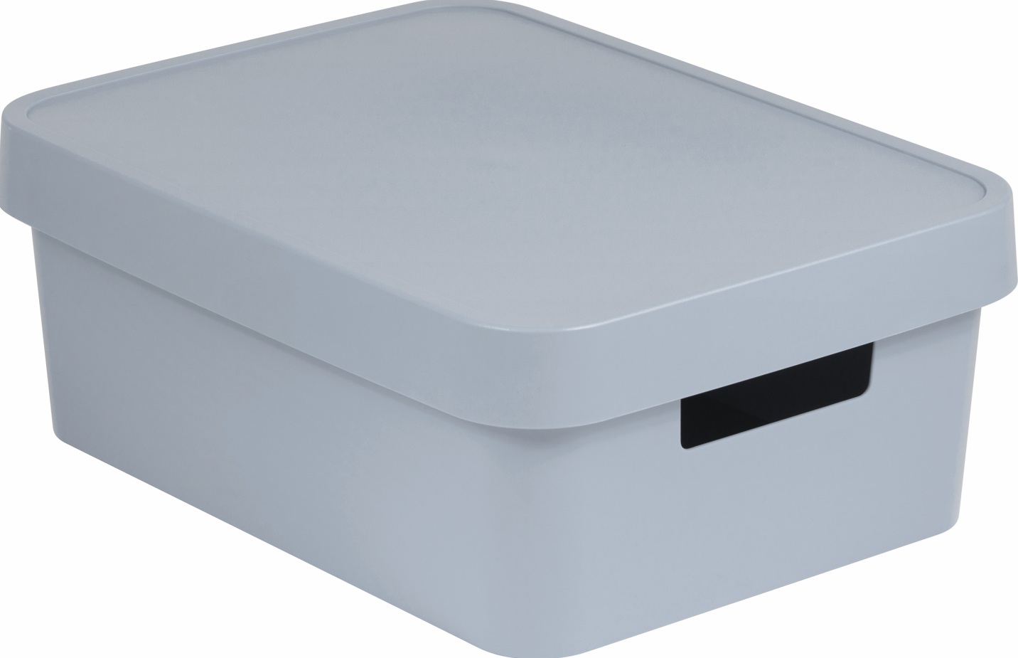 CURVER Úložný box INFINITY 11l s vekom | sivá