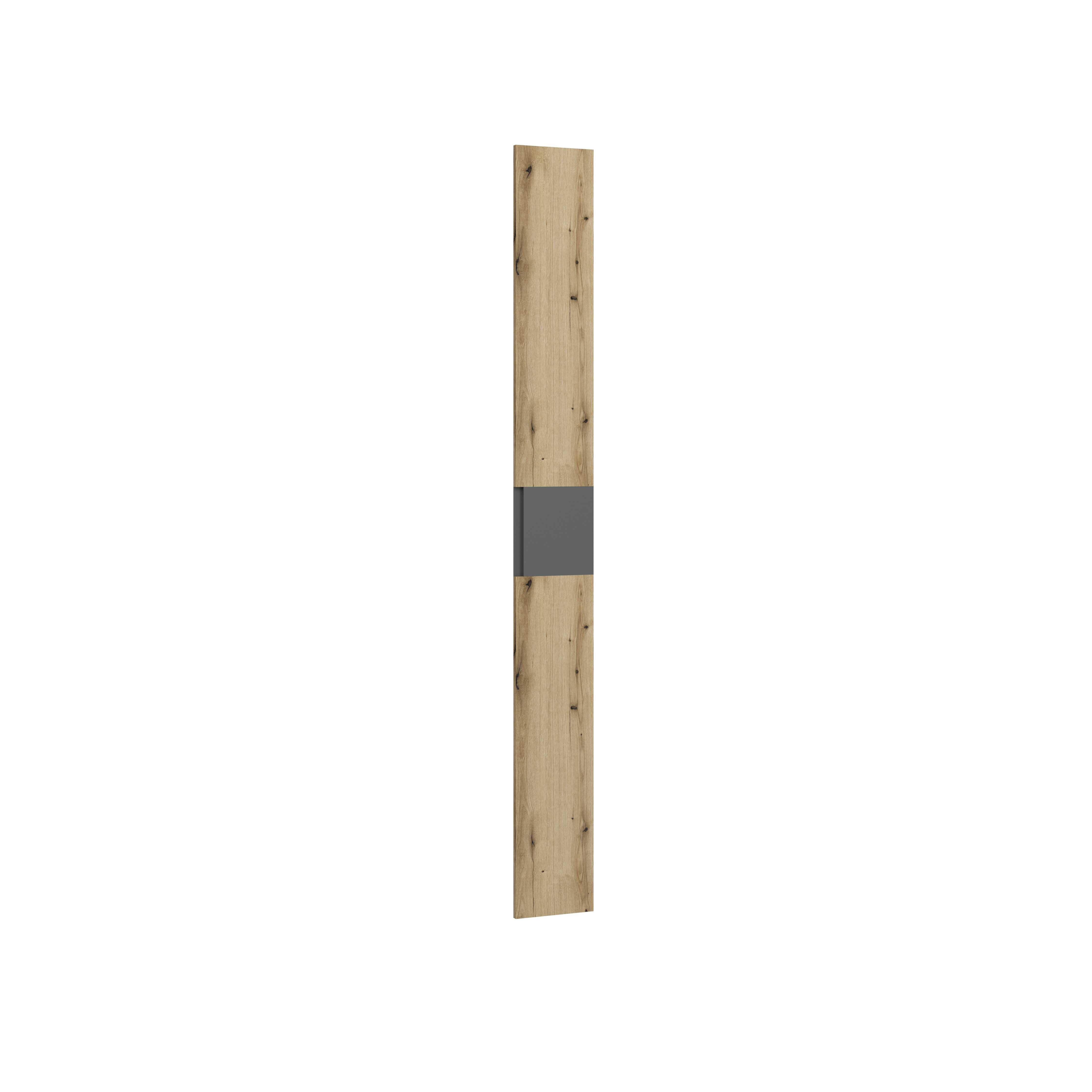 ArtExt Dvierka skrine DOX FD250 | 25 cm Farba: Dub evoke / grafit