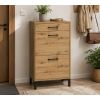moderny botnik evion 02