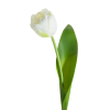 Umelý tulipán NATU 475 | biela 37 cm