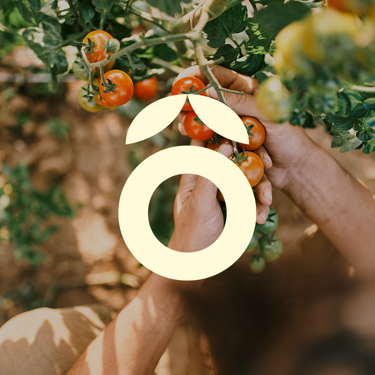 Raj lokálnych farmárskych produktov už aj v meste!