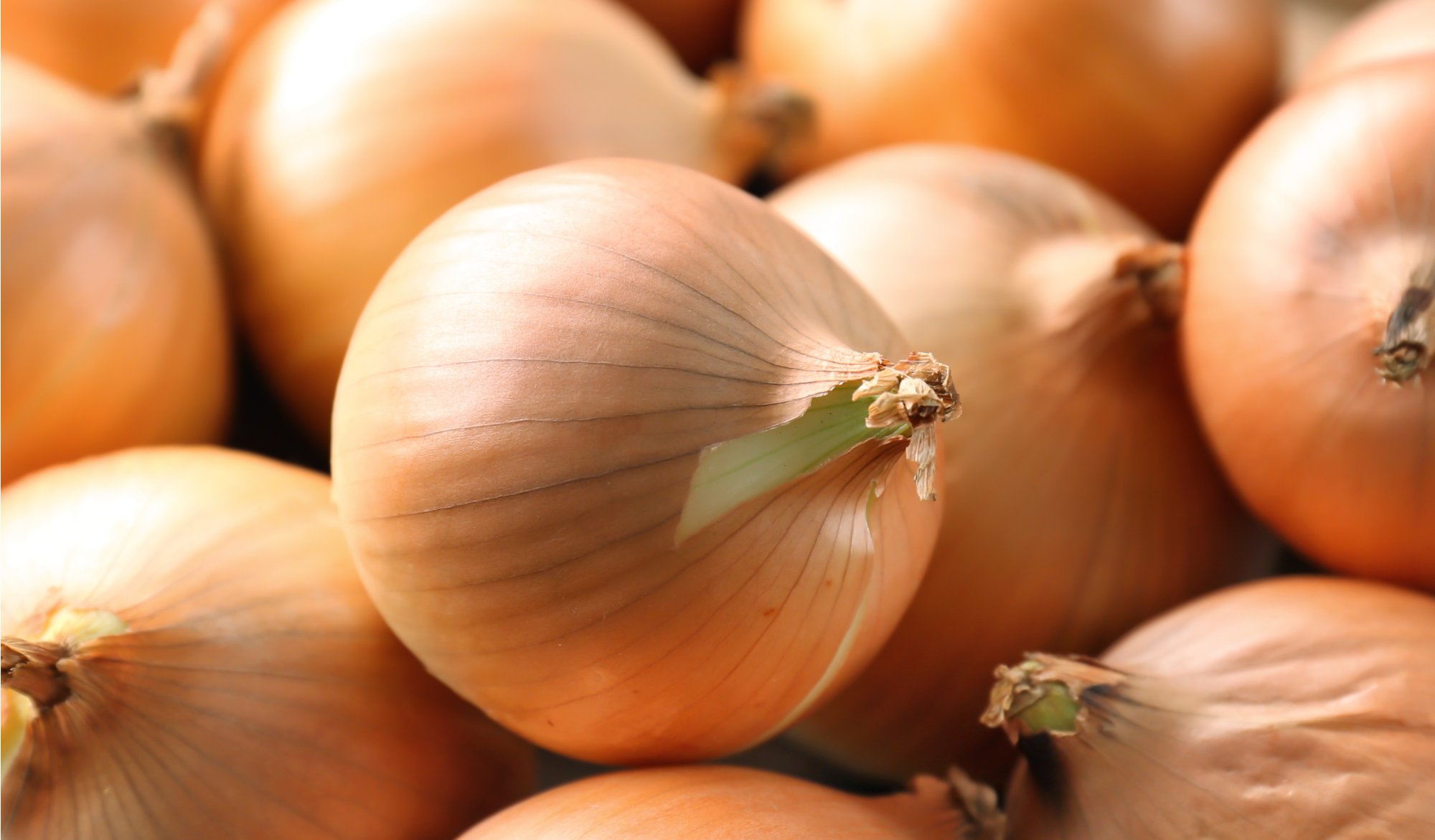 Zázračná cibuľa: 10 využití, o ktorých ste netušili