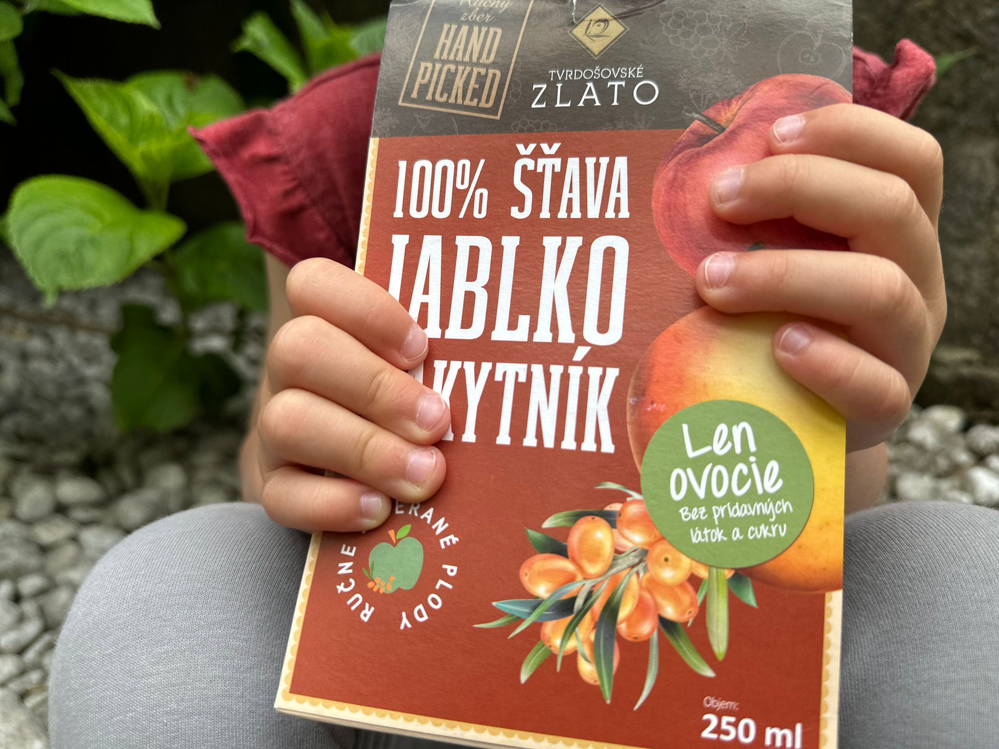 Rakytník: vitamínová bomba pre celú rodinu