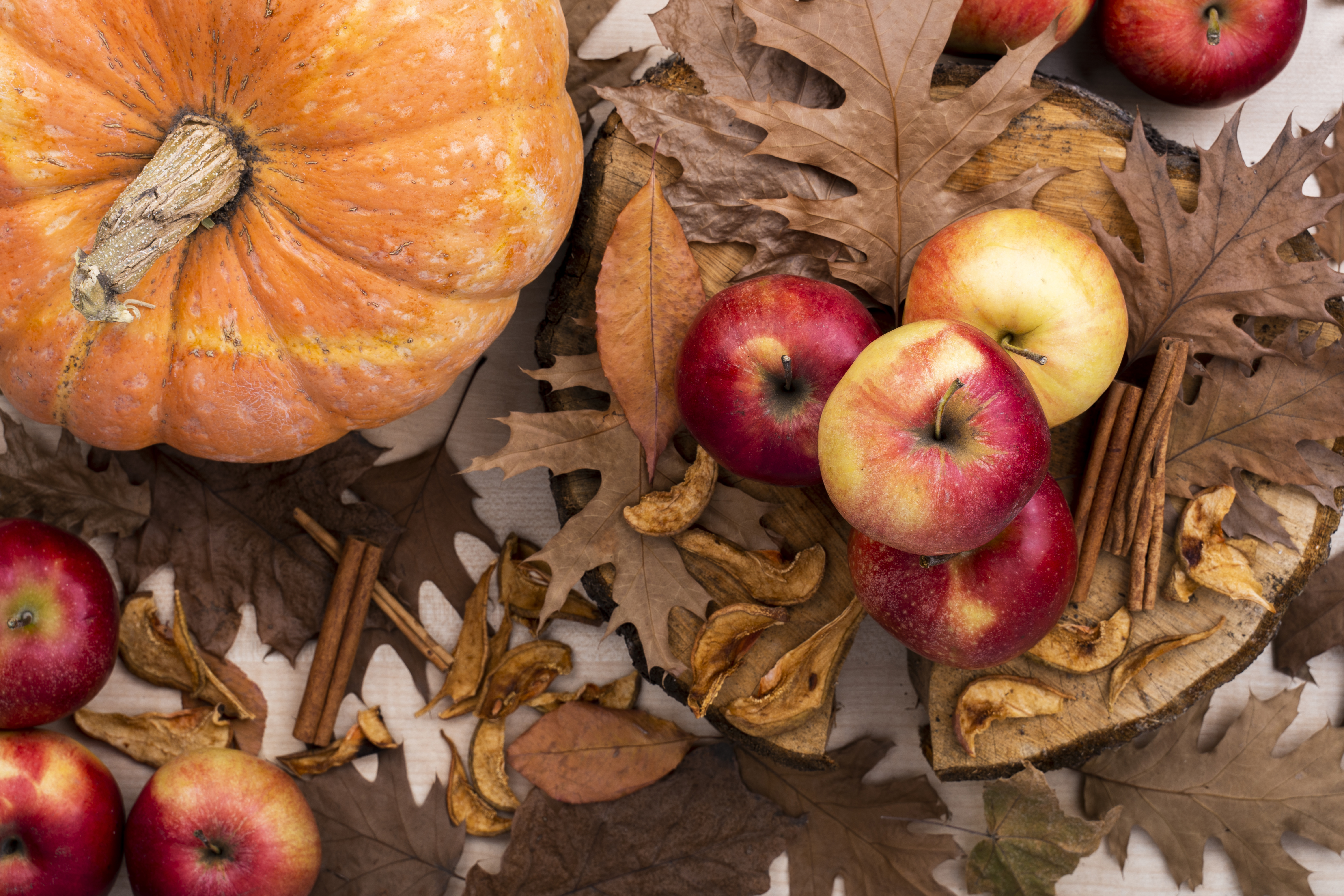 autumn-harvest-top-view