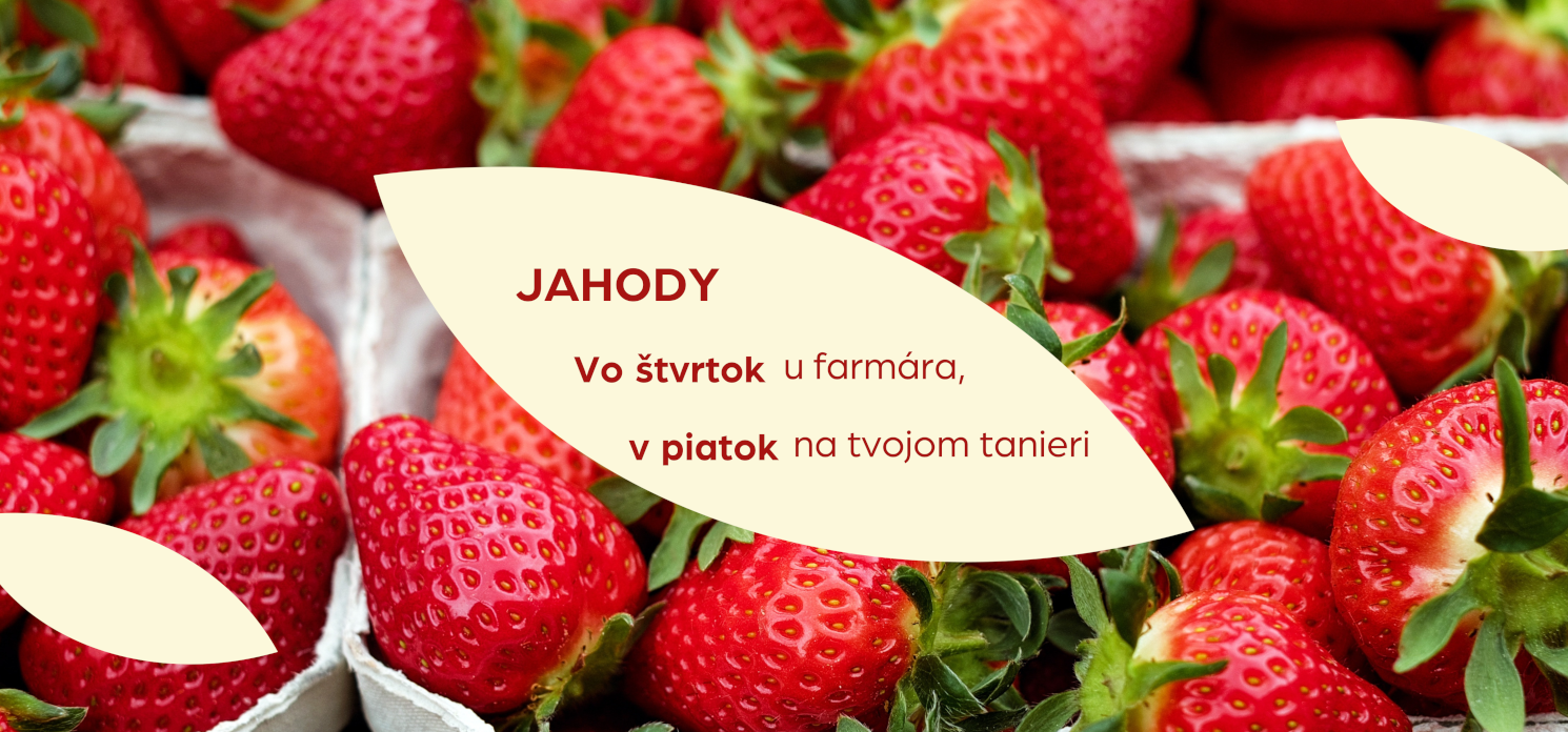 jahody|mojtrh.online