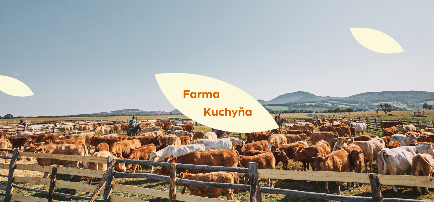 farma kuchyna|mojtrh.online