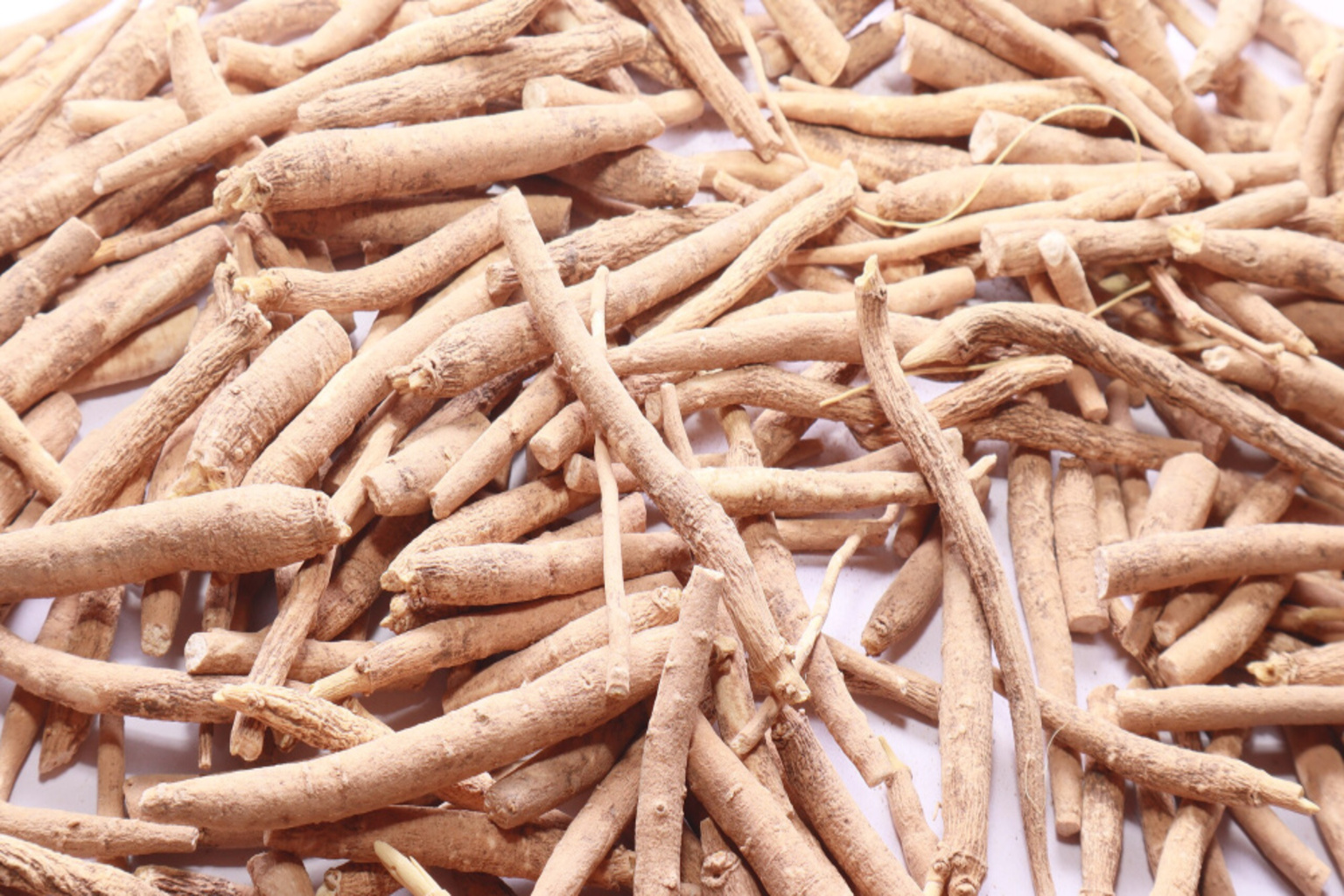 Ashwagandha – pro odolnost a vitalitu