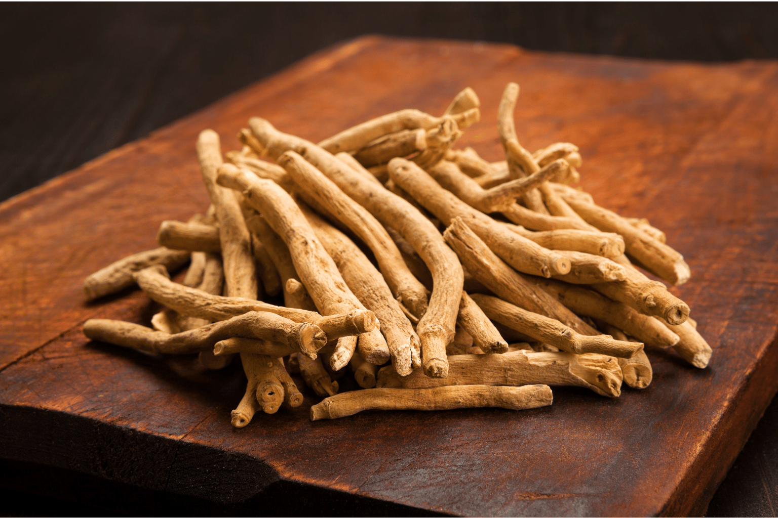 Ashwagandha – pro odolnost a vitalitu