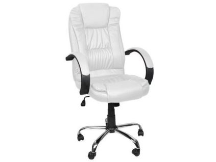 6383 5 kancelarska zidle desmond bila