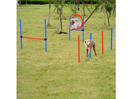 Agility překážky pro psy | sada 3 typy