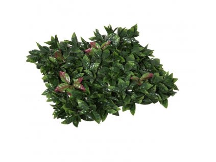 Umělý živý plot Blýskalka Photinia panel 50 x 50 cm