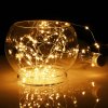 2202 2 vanocni led osvetleni na stribrnem dratku 100 led tepla bila