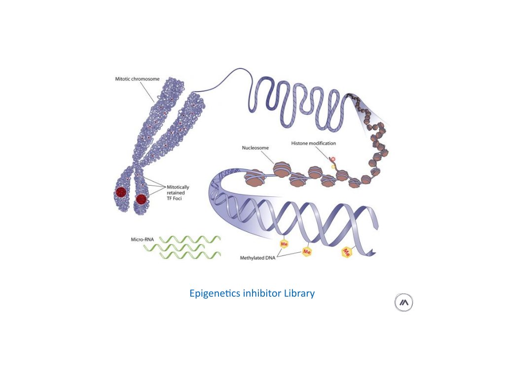 epigenetics inhibitor library