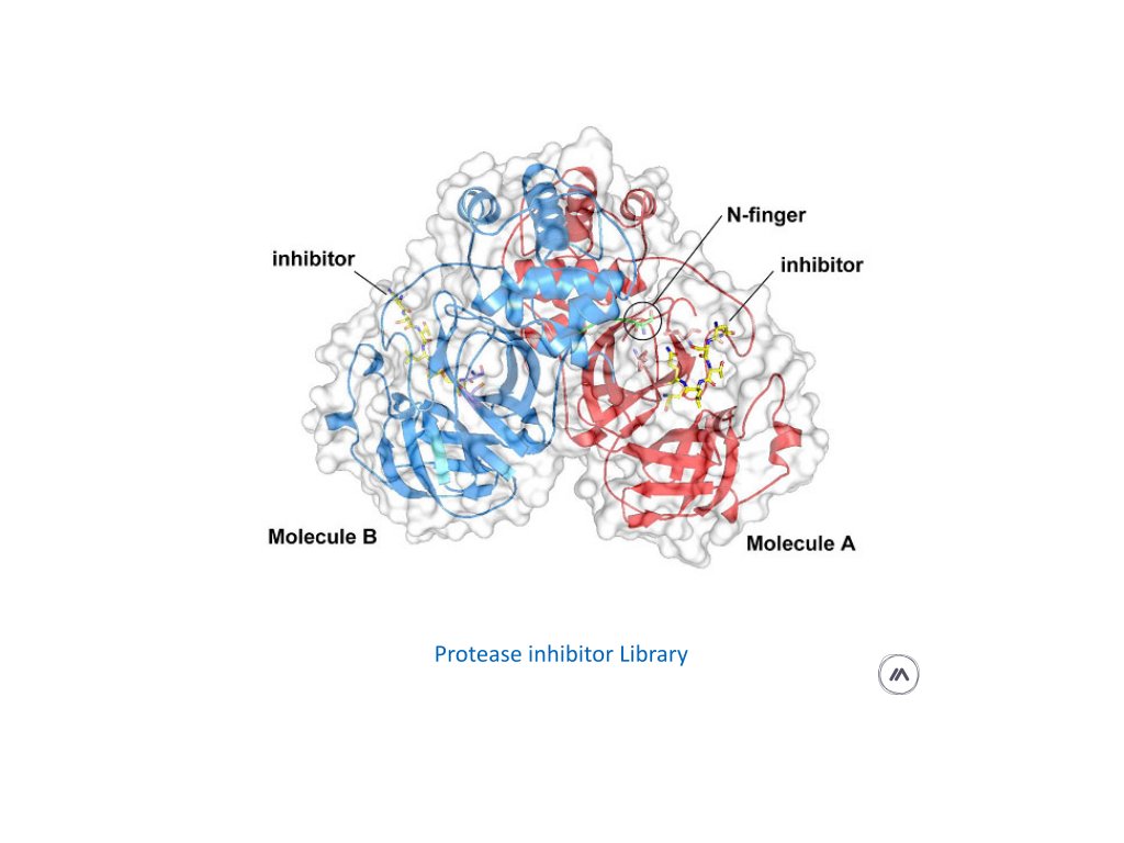 protease inhibitor library