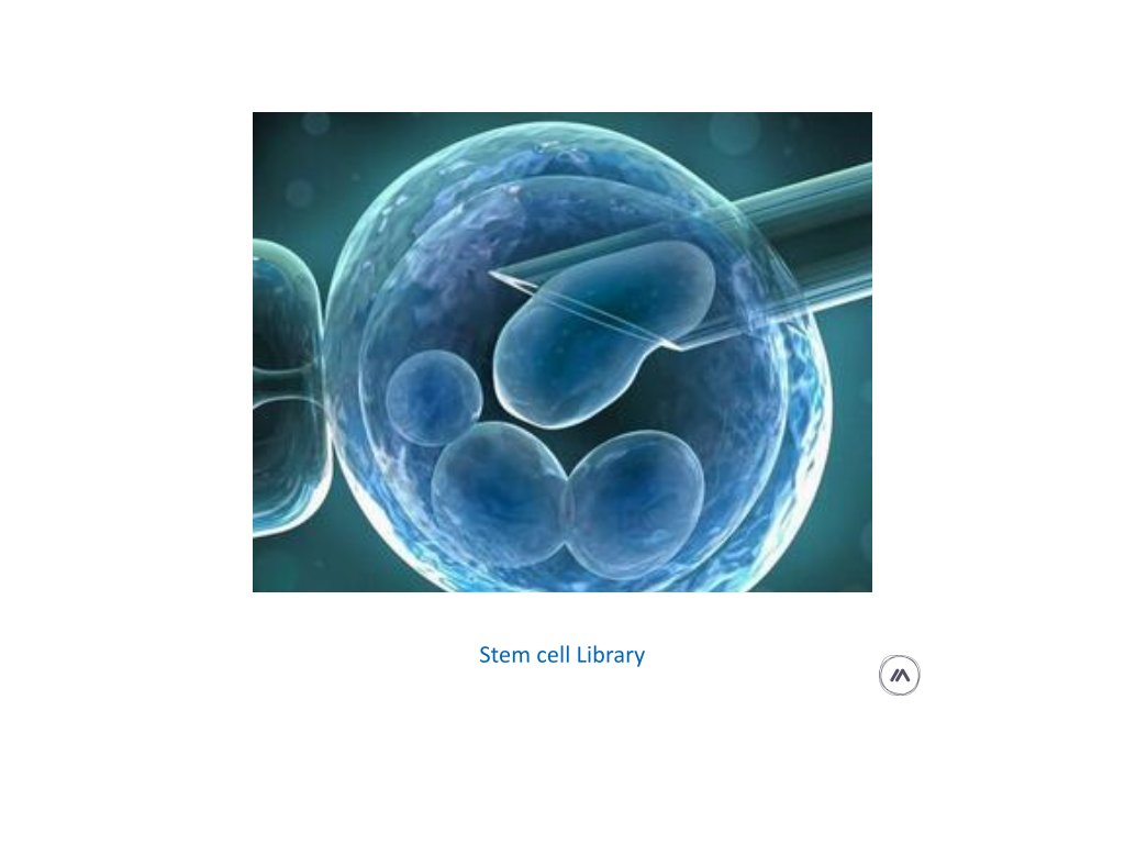 stem cell library