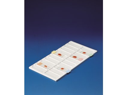kartell labware tray for microscope slides