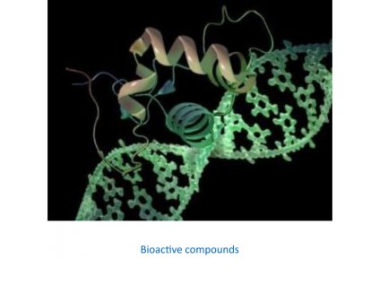 bioactive compounds