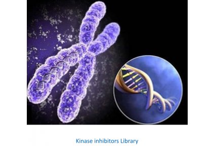kinase inhibitors library