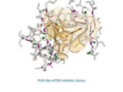 PI3K Akt mTOR inhibitor library