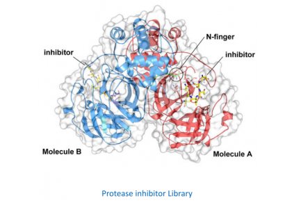 protease inhibitor library