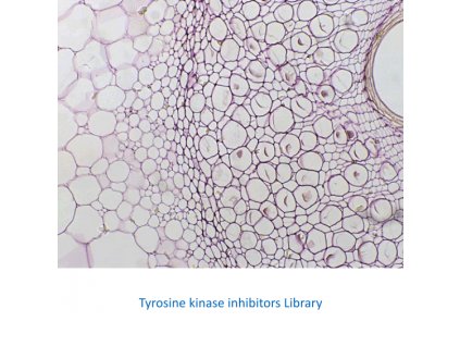 tyrosine kinase inhibitors library