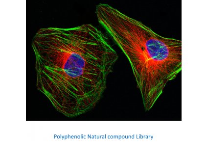 polyphenolic natural compound library