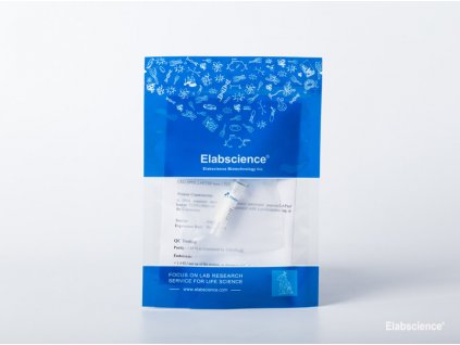 protein 1
