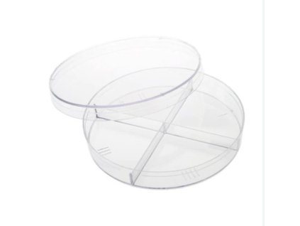 Petri dish 4 sector