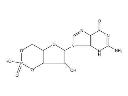 Guanosine 3′,5′ cyclic monophosphate