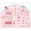 Cytoskeletal signaling