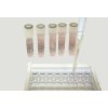 ELISA Systems™ Almond Residue Detection Kit for Food Allergen Testing 1