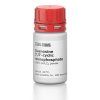 Guanosine 3′,5′ cyclic monophosphate 1
