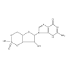 Guanosine 3′,5′ cyclic monophosphate