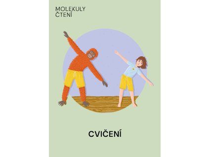 Cvičení
