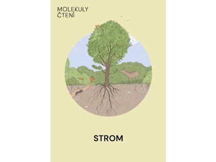 Strom