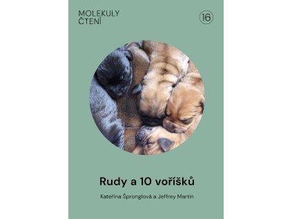 U16 RUDY A 10 VORISKU:INDIGOPRINT