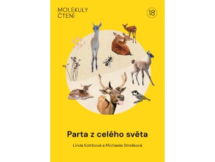 U18 Parta z celého světa:INDIGOPRINT
