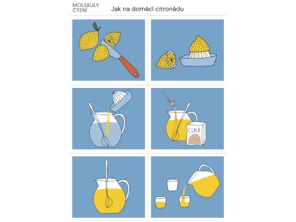 Jak na domácí citronádu