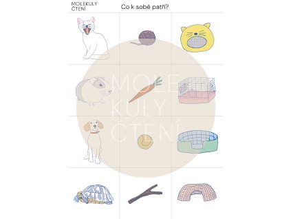 co k sobě patří mazlíčci